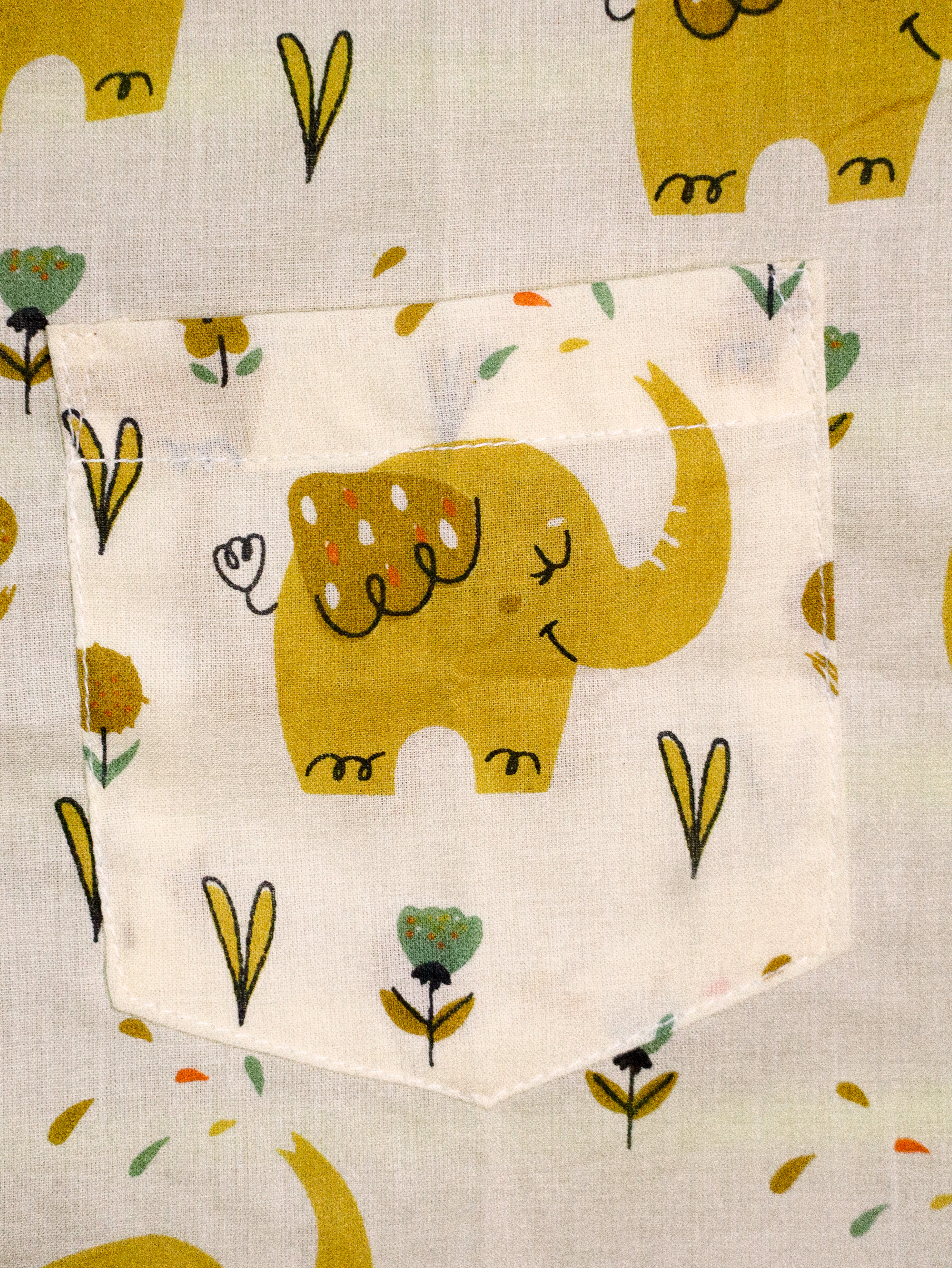 Big Trunk Elephant Print